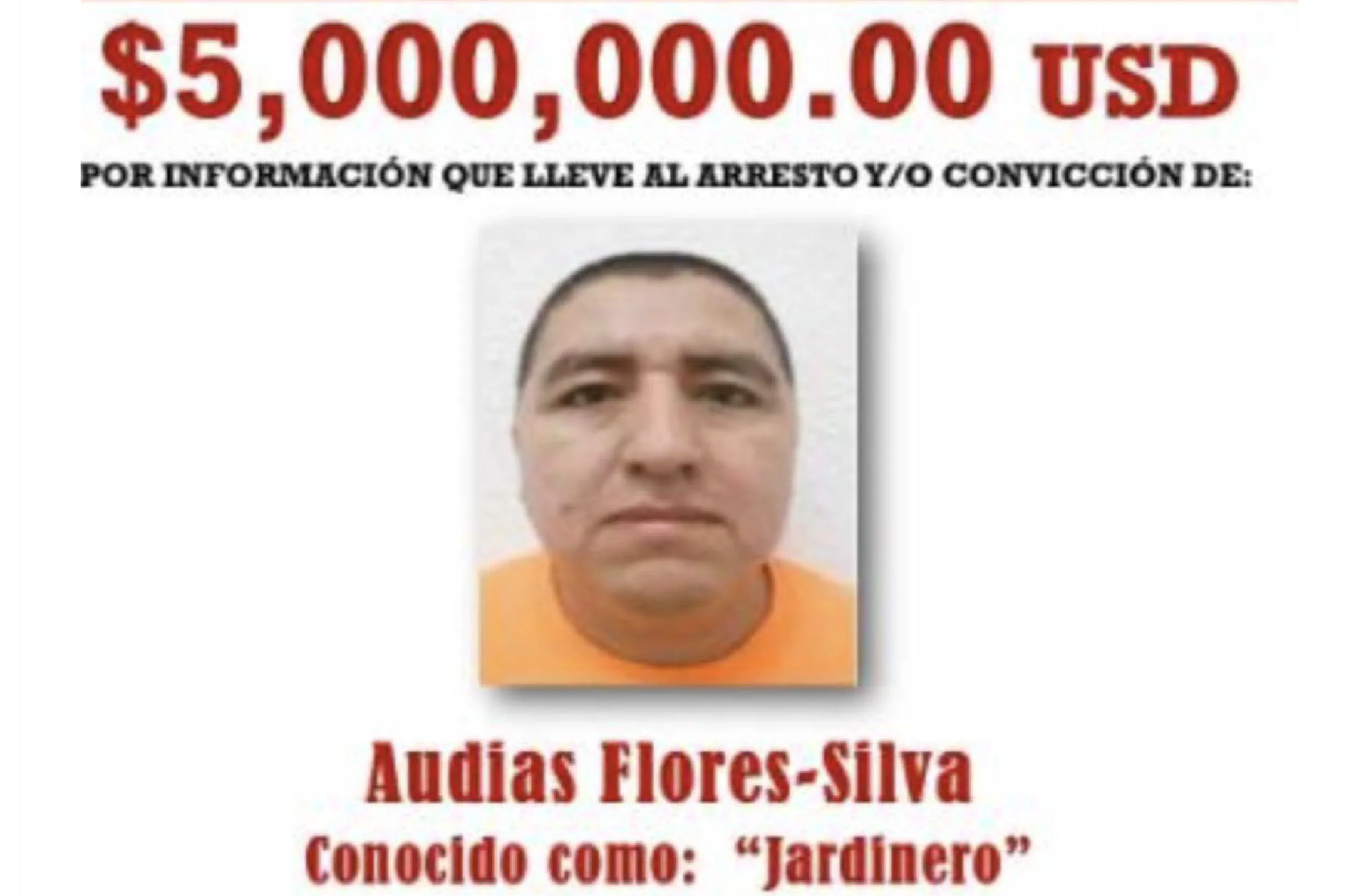 Detienen a “El Jardinero”, líder del CJNG en Nayarit.