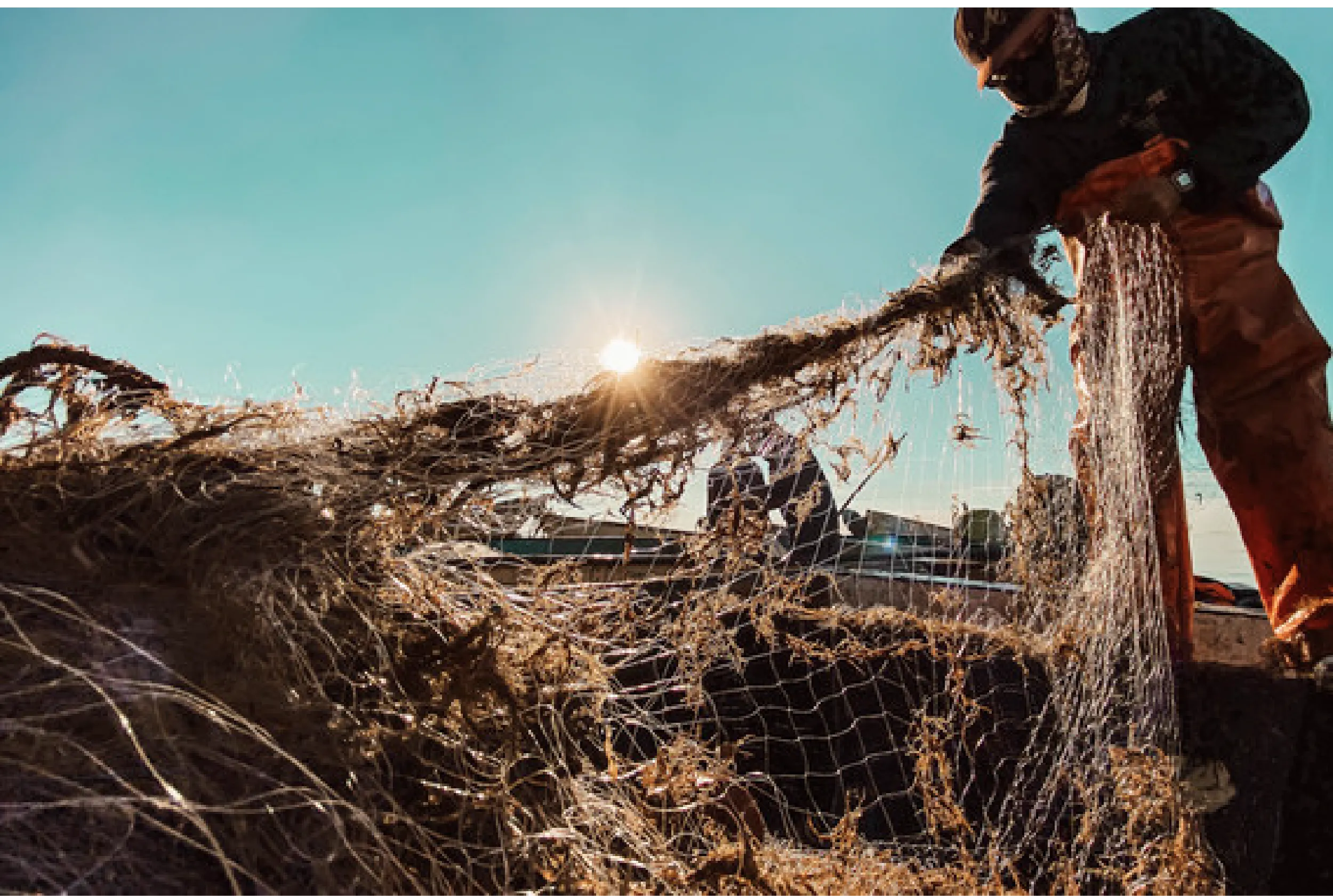Pescadores recibirán 15 mil pesos tras crisis ambiental.