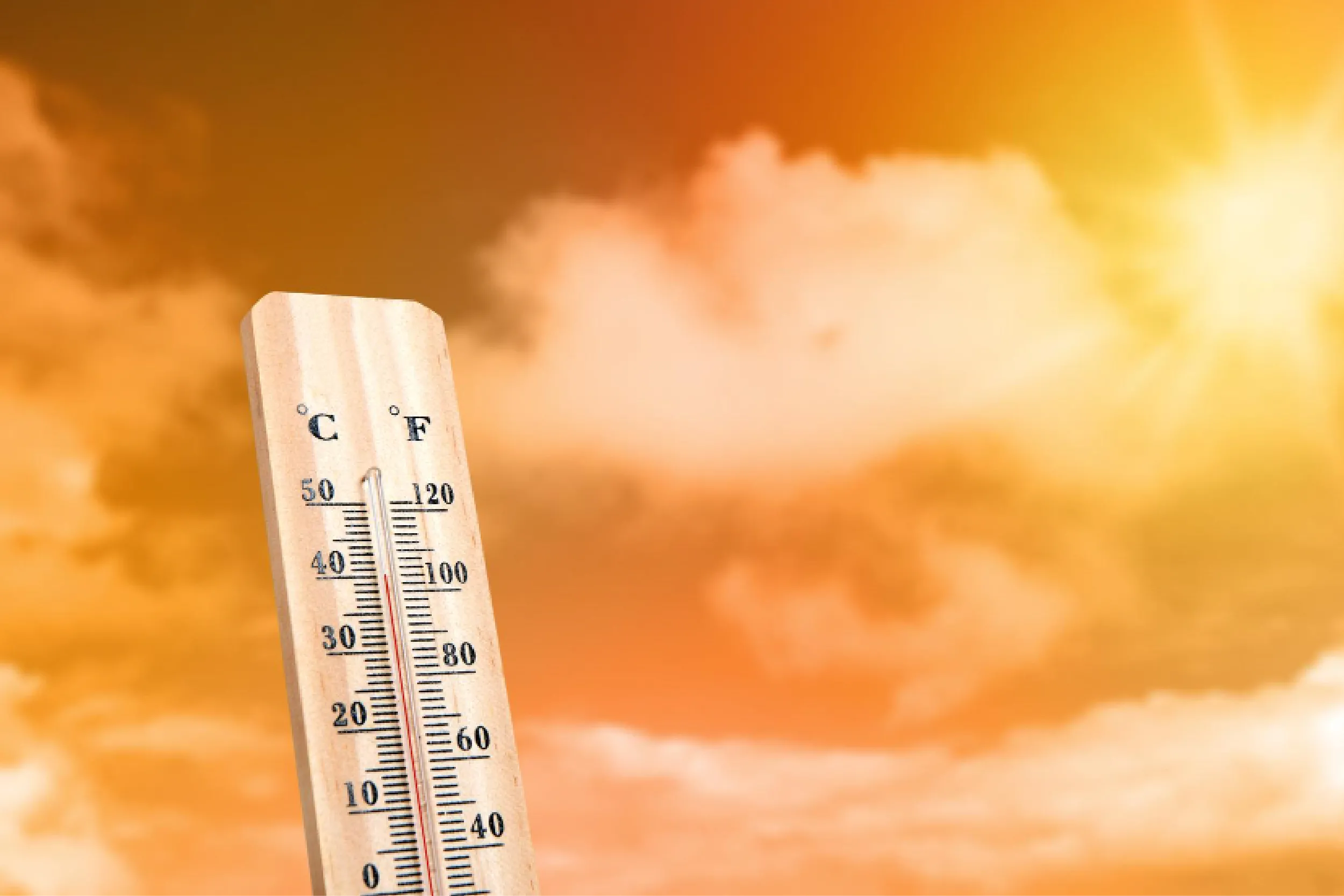 Onda de calor en México: hasta 45 grados en 9 estados este 15 de abril.