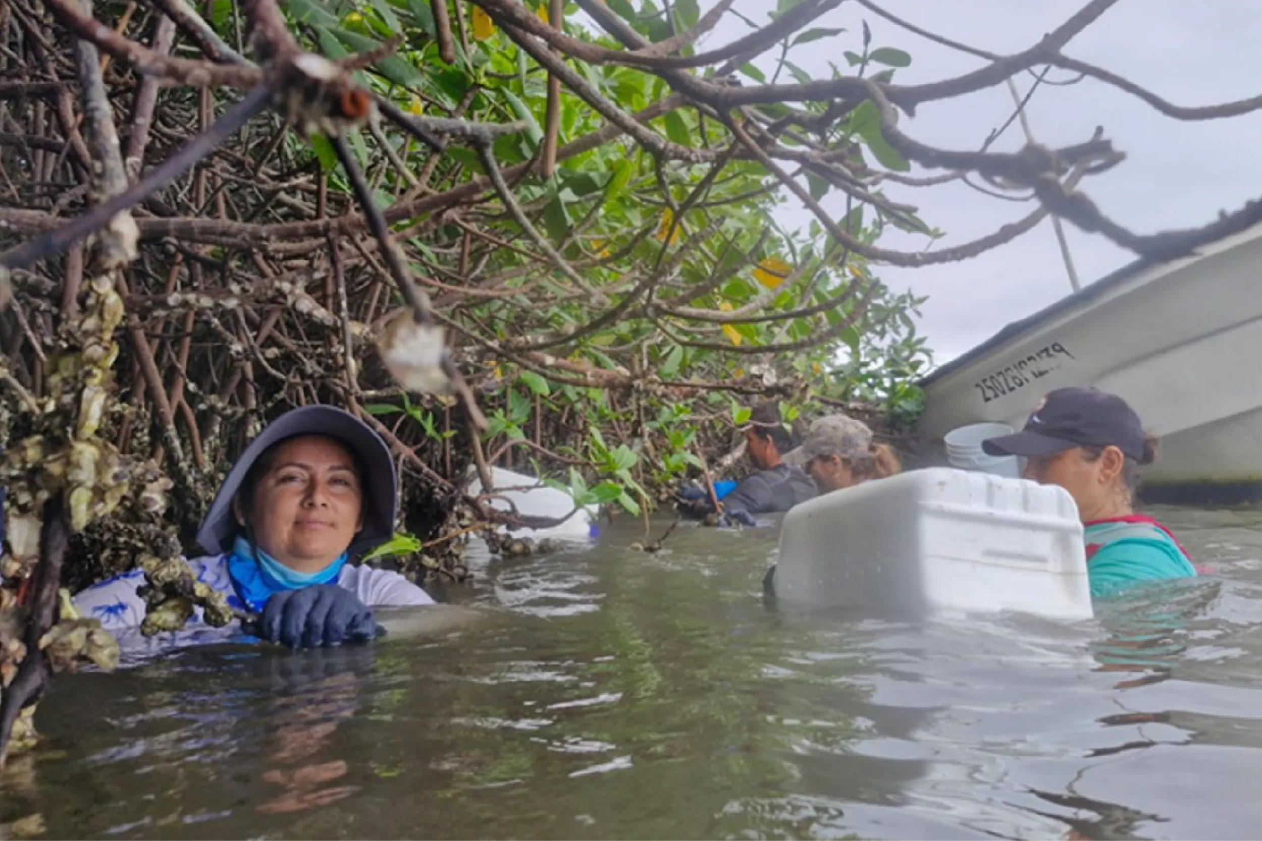 Mujeres en la pesca: ganan menos y 58% no tiene seguridad social, revela diagnóstico.