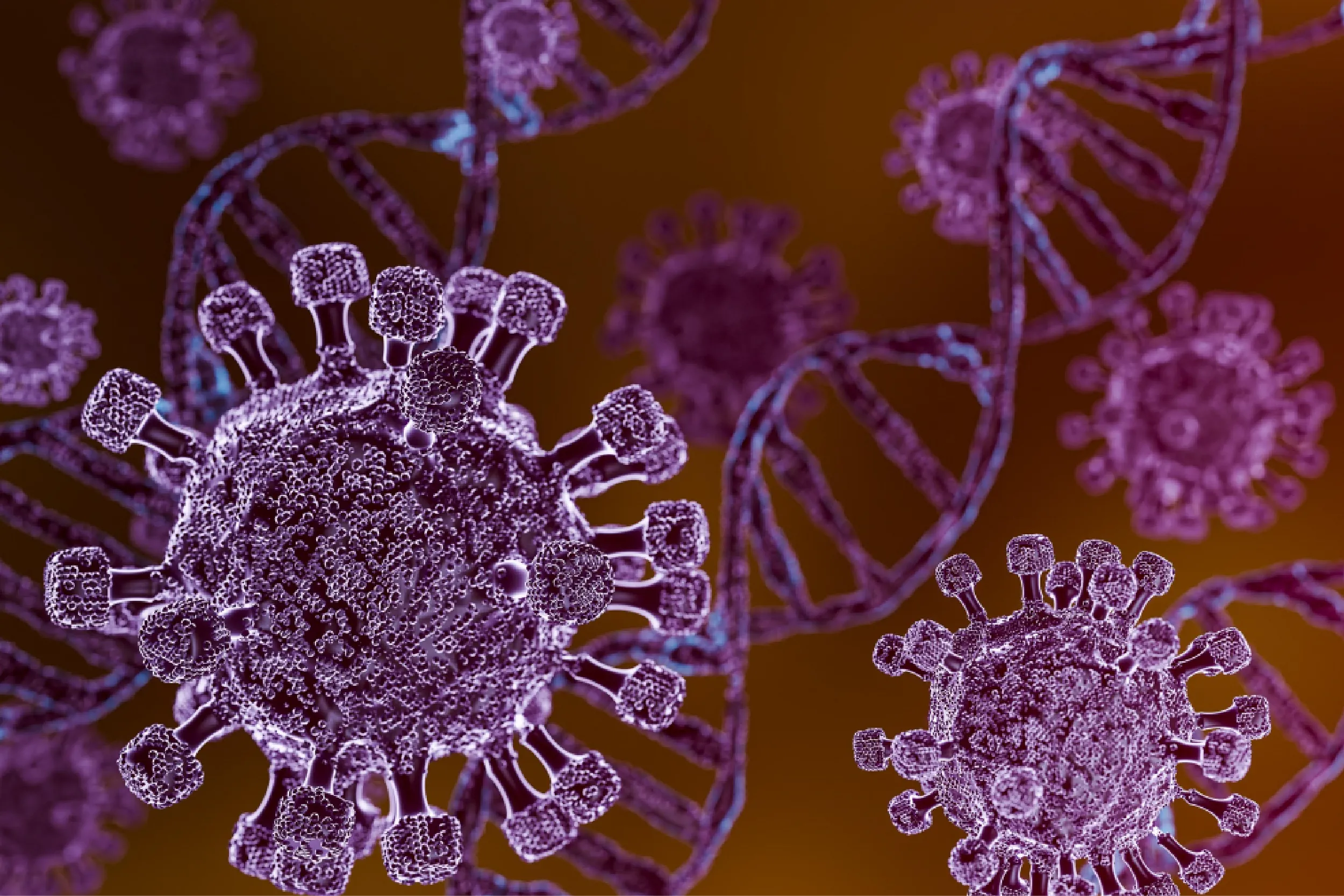 Close-up view of purple virus particles with spike proteins against an orange-brown background.