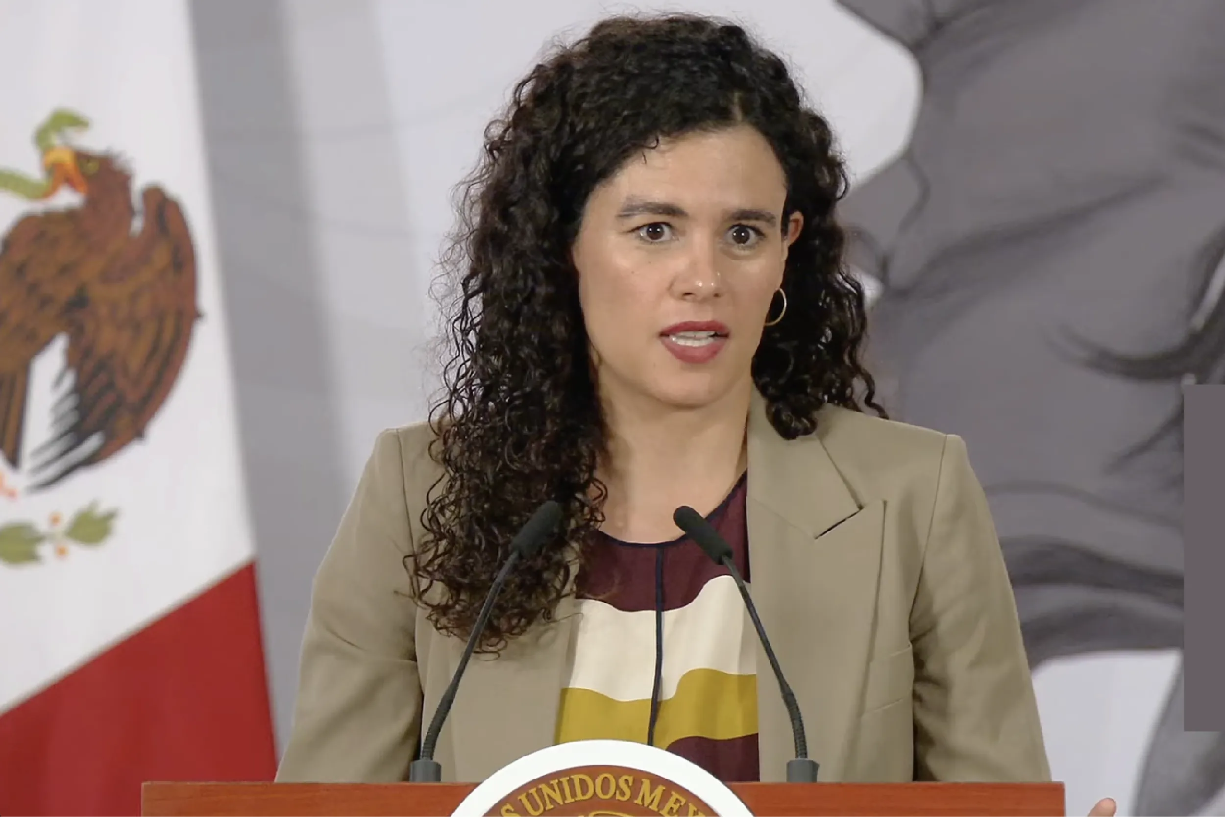 Se creará una comisión de verificación de integridad dentro del INE.