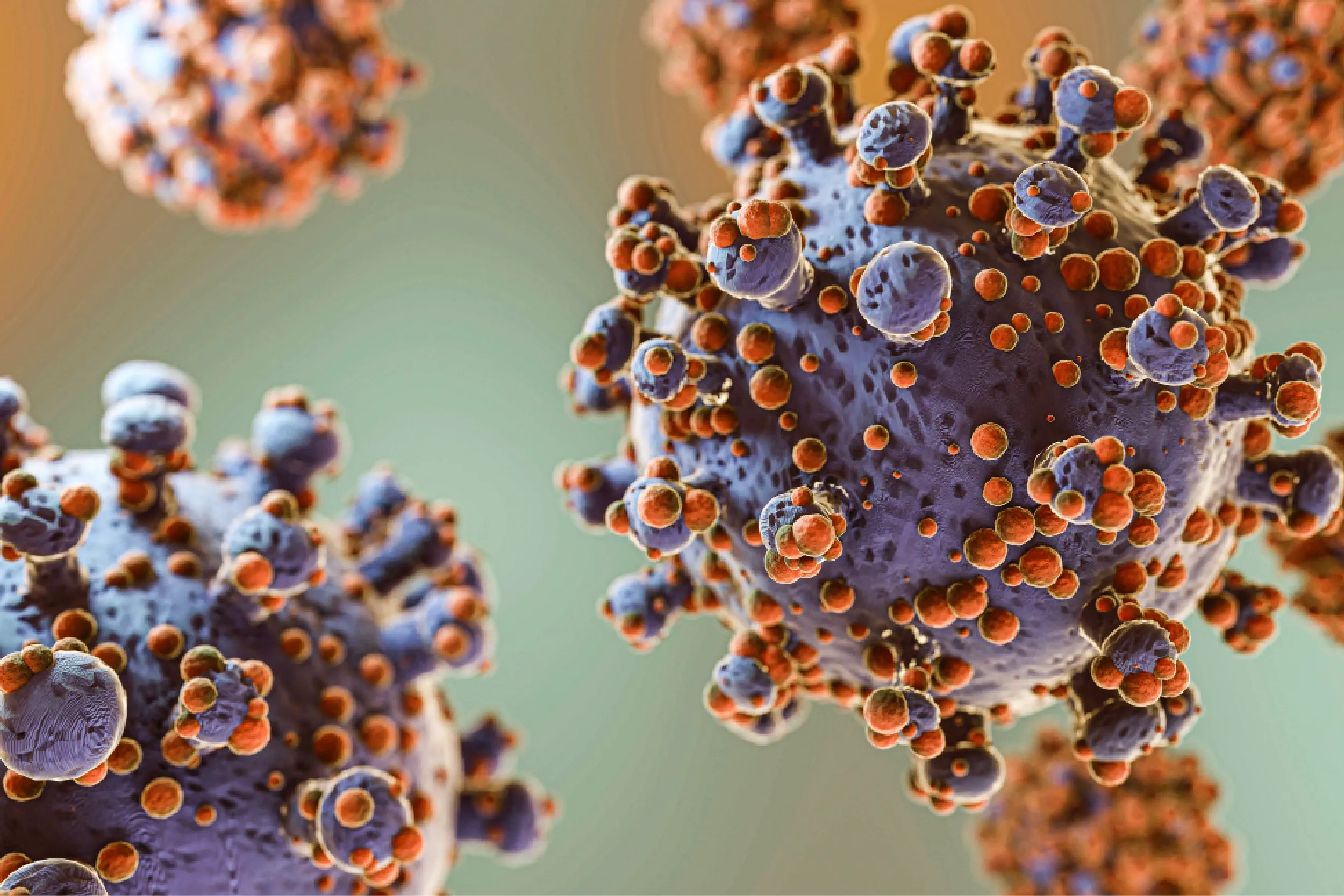 Israel confirma primer contagio de Hantavirus cepa Andes.