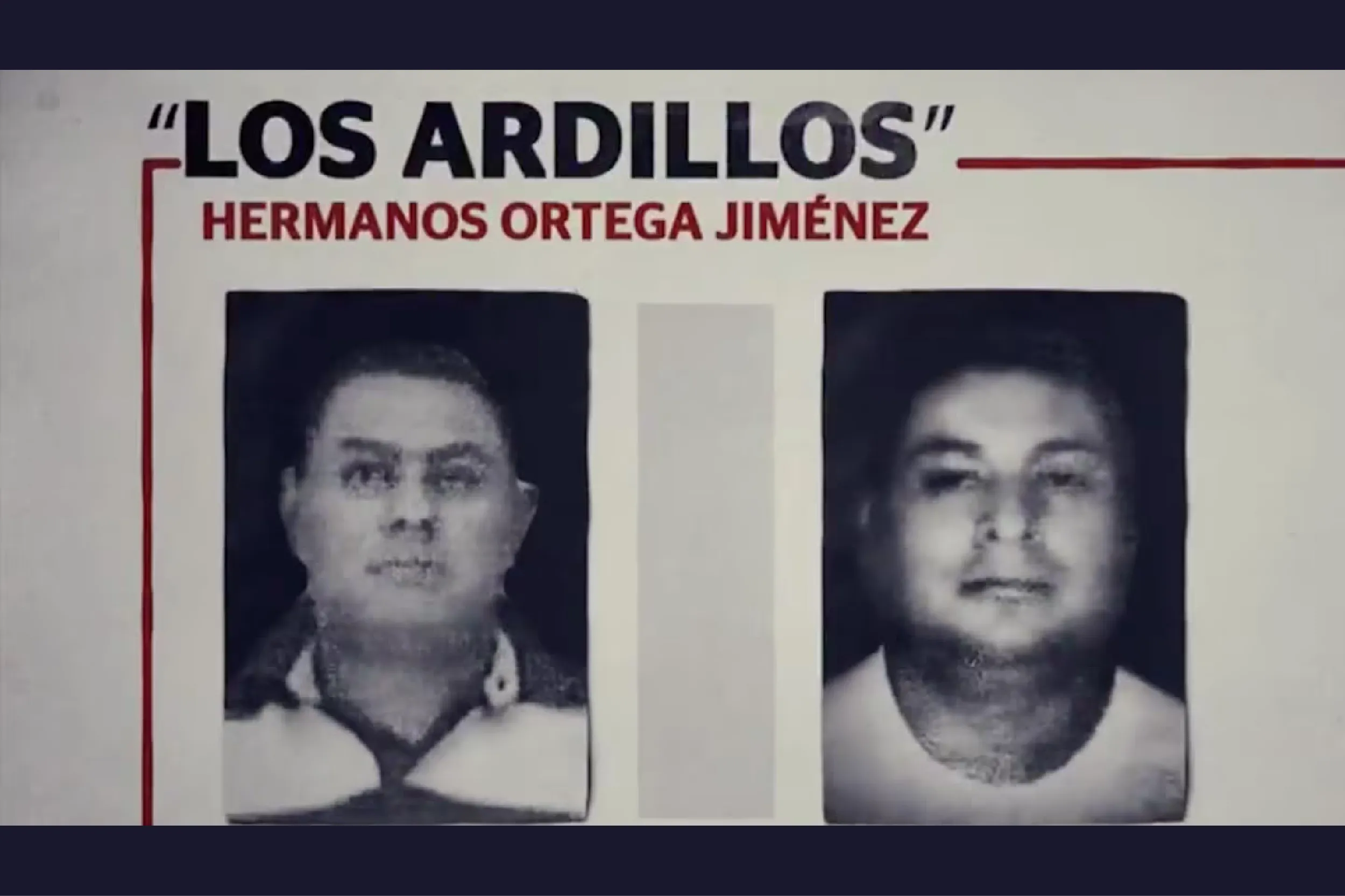 Los Ardillos en Guerrero: historia, líderes y crímenes del grupo que desplaza comunidades indígenas.