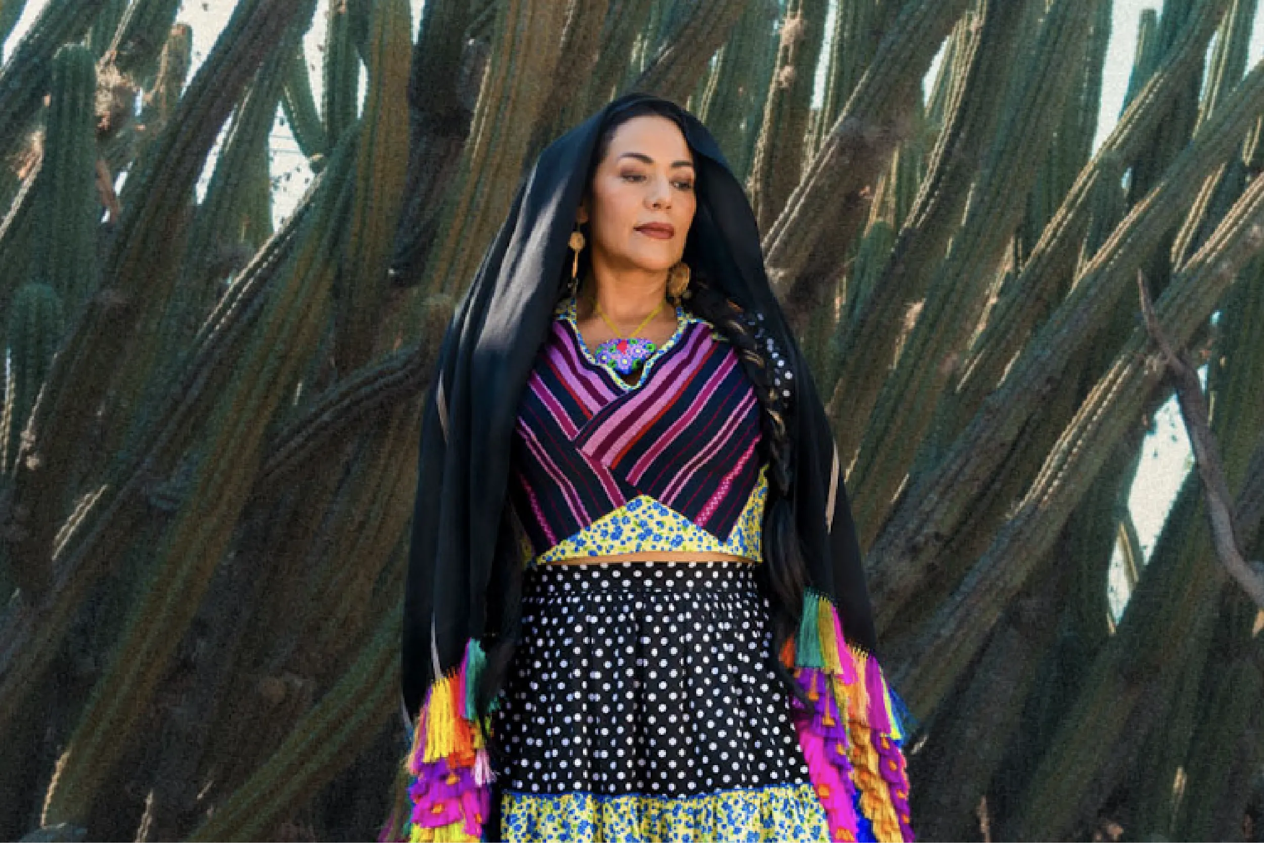 Lila Downs y Alaska recibirán el Premio a la Excelencia Musical.