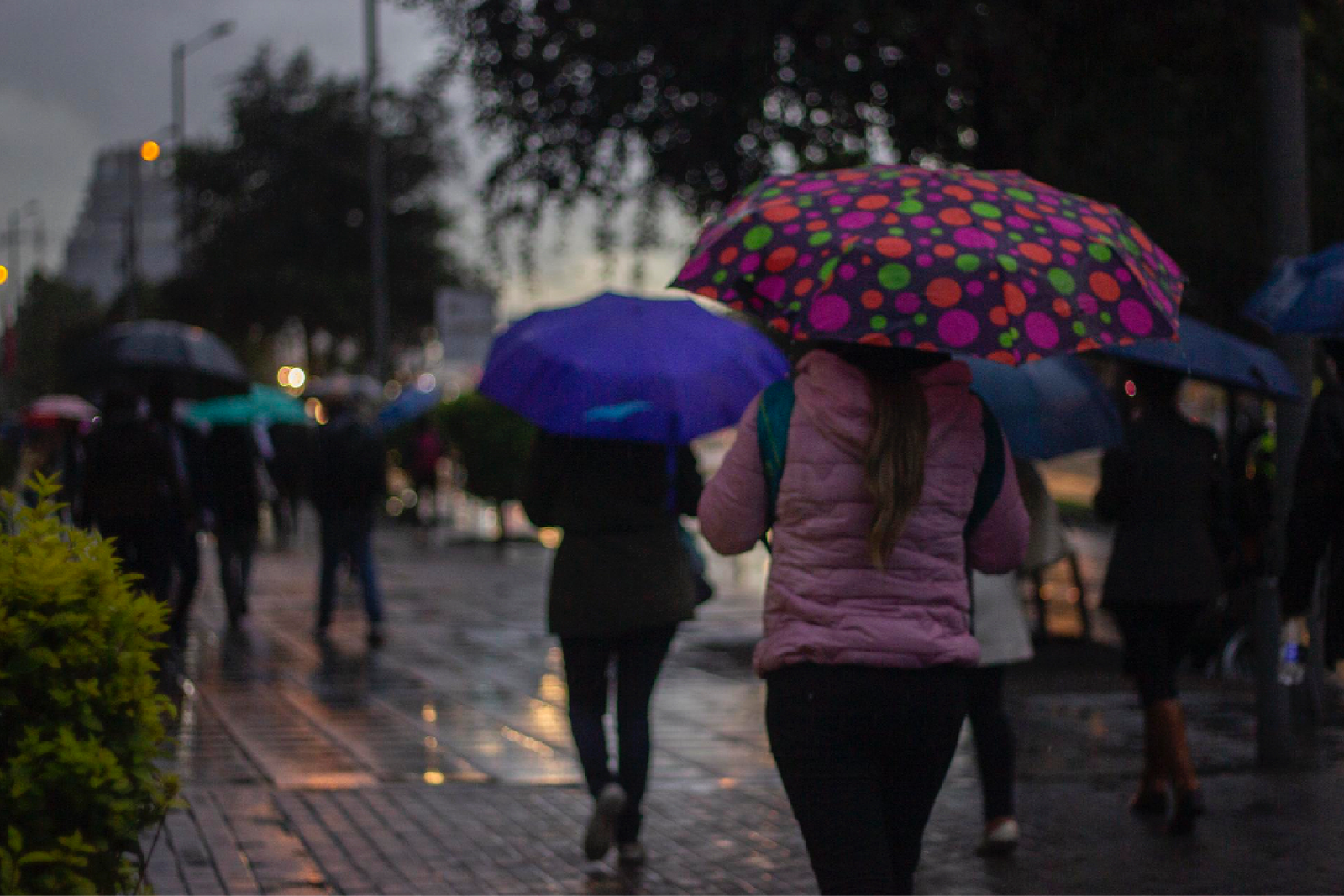 ¿Paraguas para el Grito? Así estará el clima este 15 de septiembre en México.