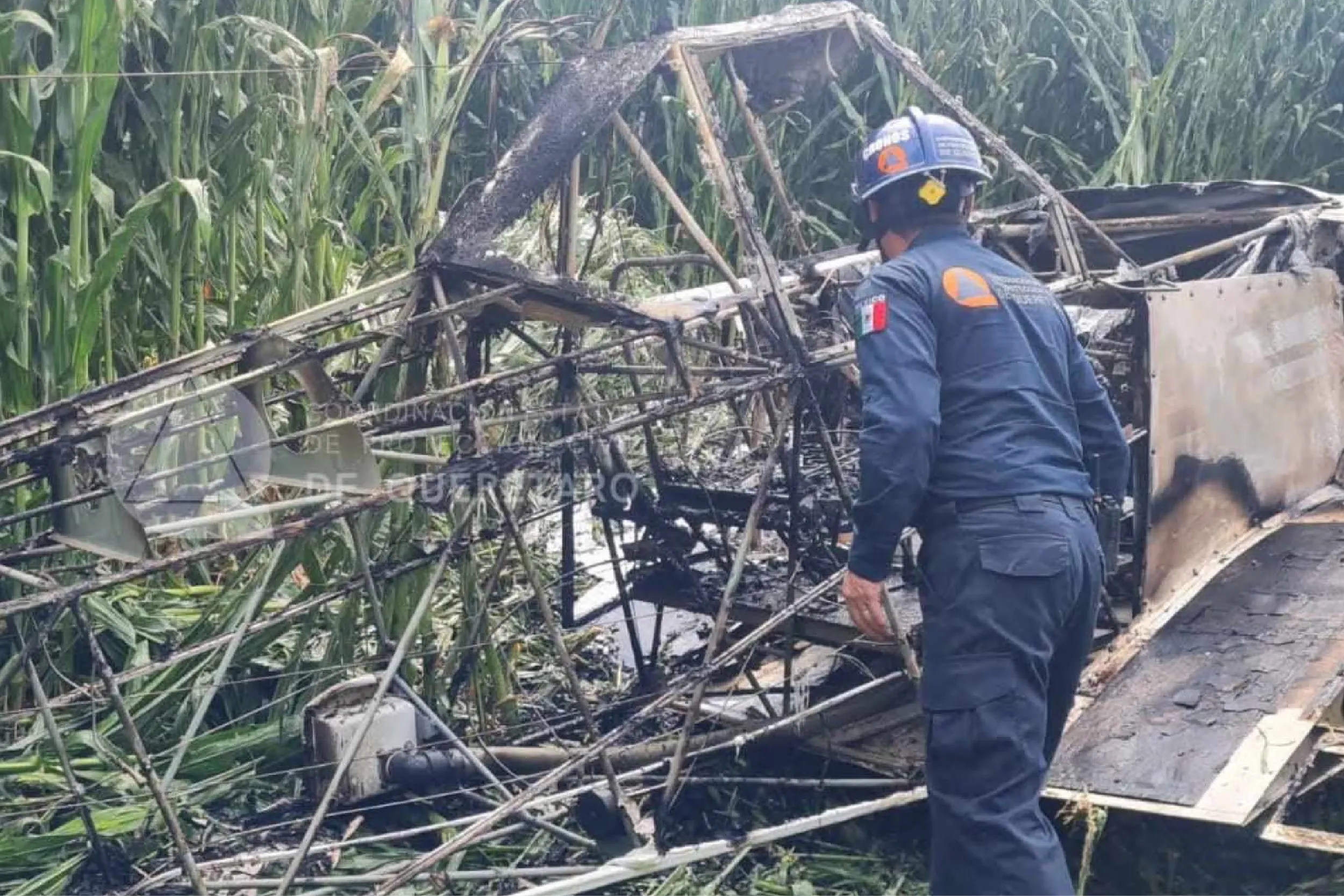 Firefighter in blue uniform and helmet surveys charred, collapsed debris amid cornfield remains.