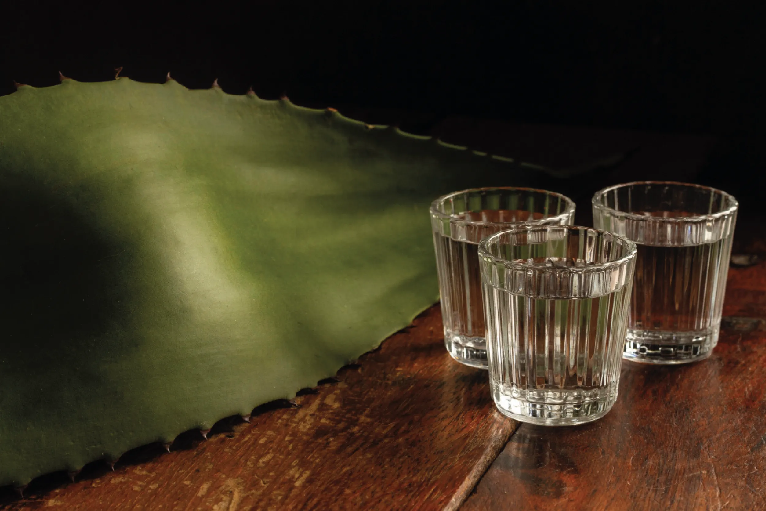Three clear drinking glasses on a wooden table with a large green agave leaf in the background.