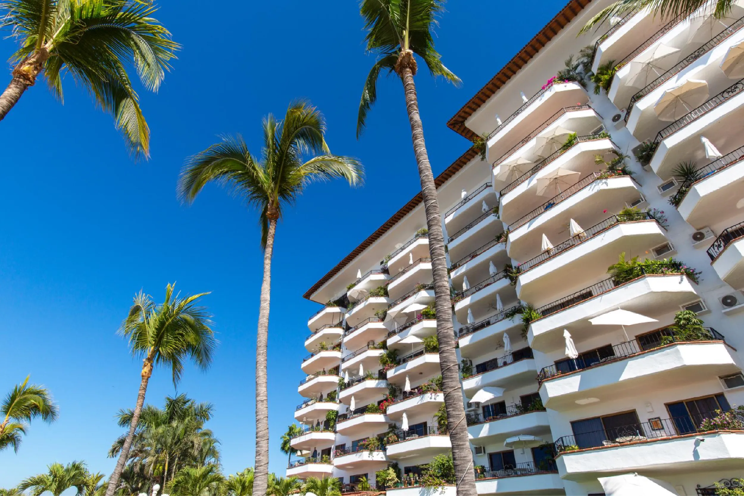 White hotel with many balconies set against a vivid blue sky, framed by tall palm trees on a sunny day, conveying a tropical resort vibe.