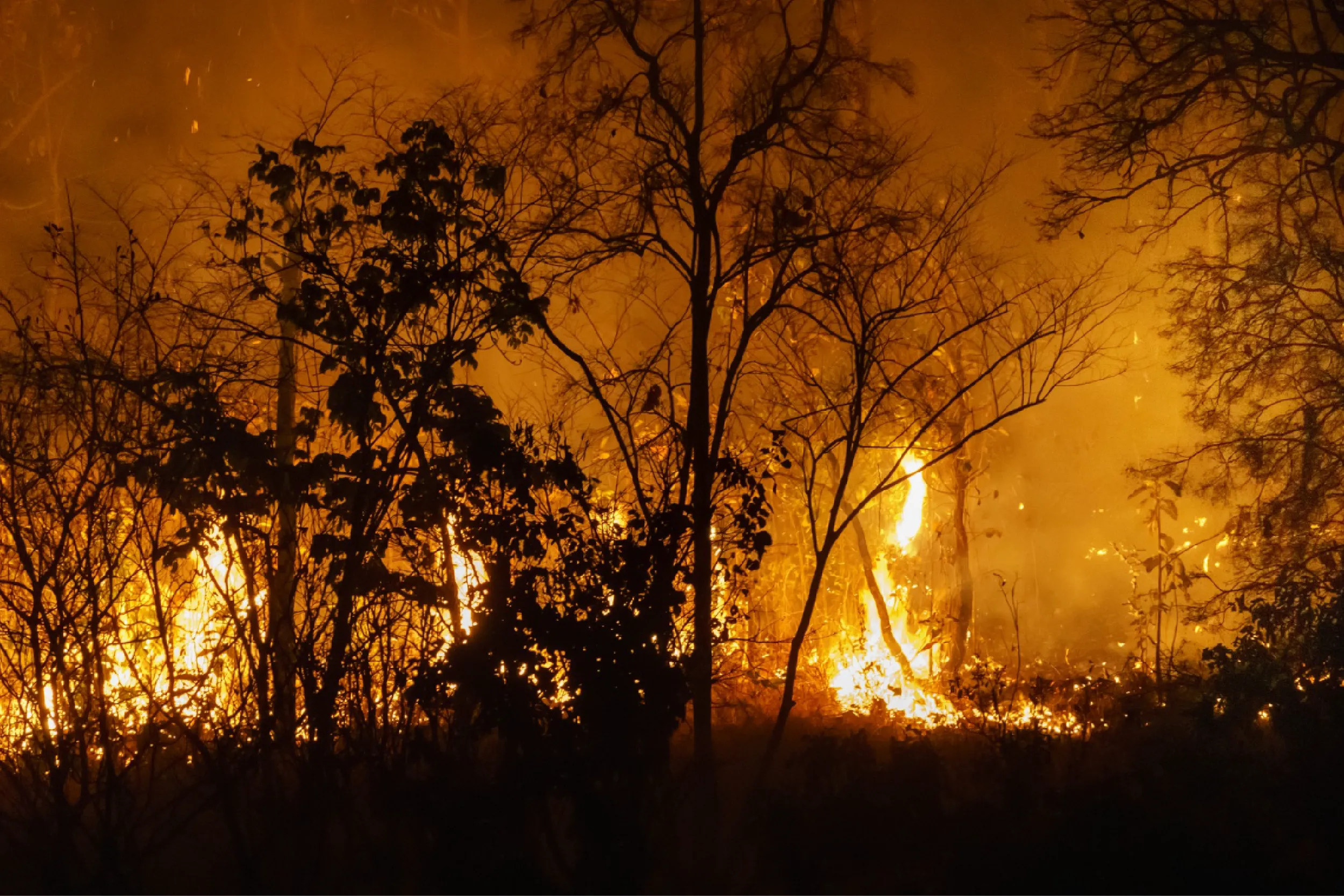 Los incendios generan graves impactos ambientales, económicos y sociales.
