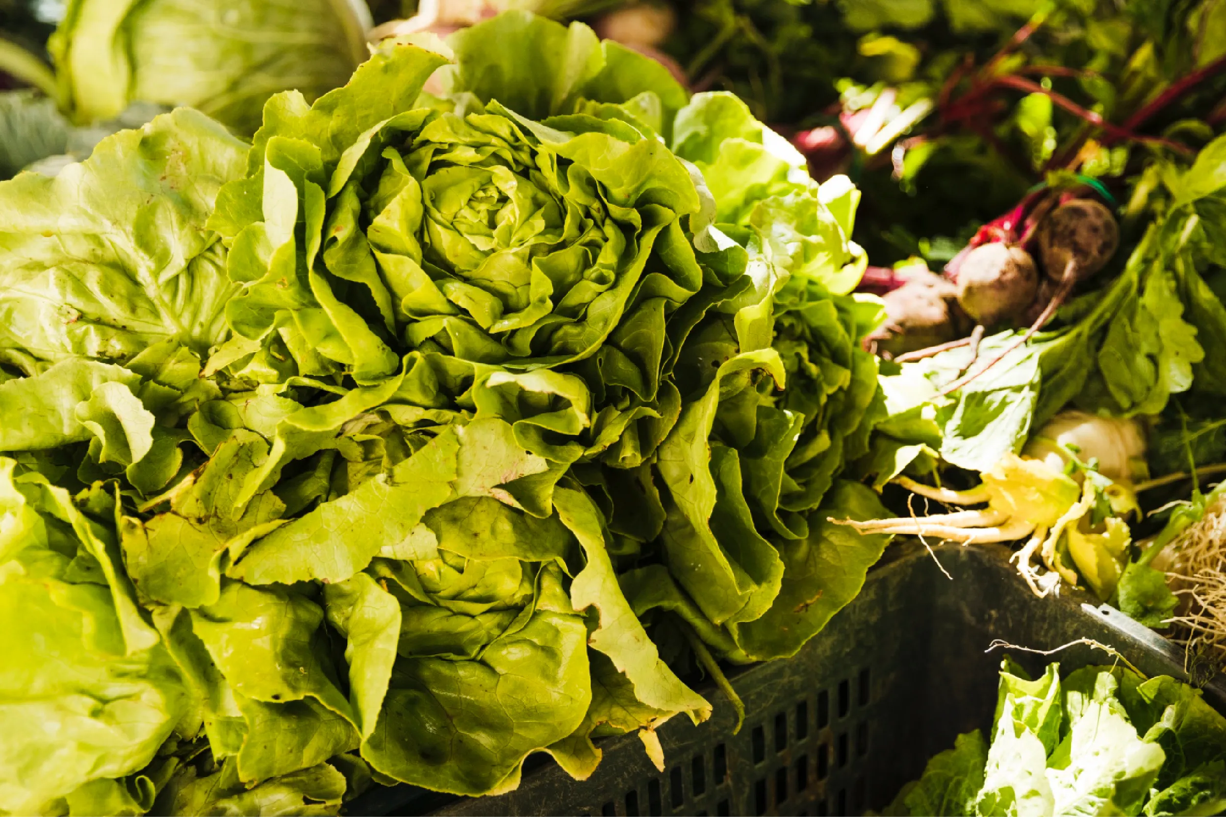 Estas frutas y verduras requieren mayor cuidado.
