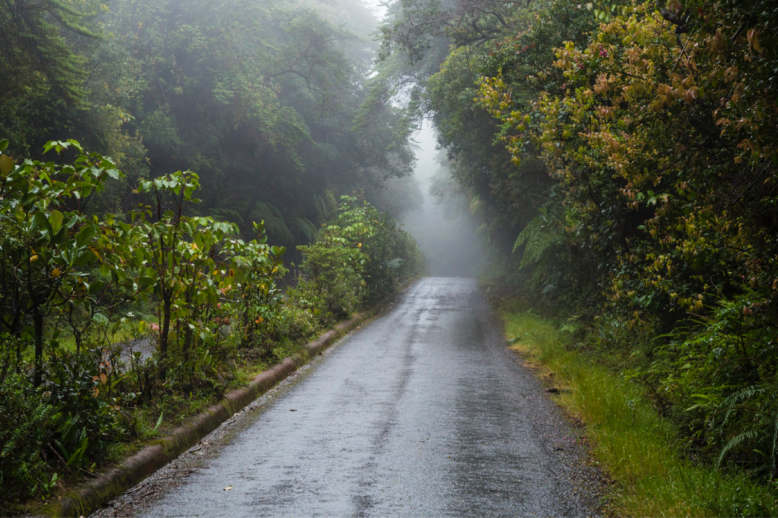 Lluvias en México este fin de semana.