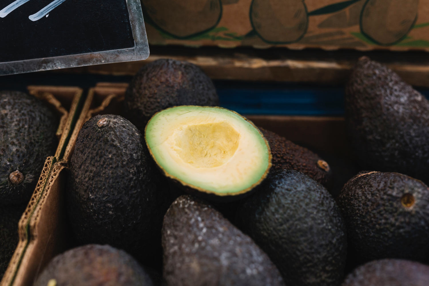 Aguacate mexicano vuelve a EUA.