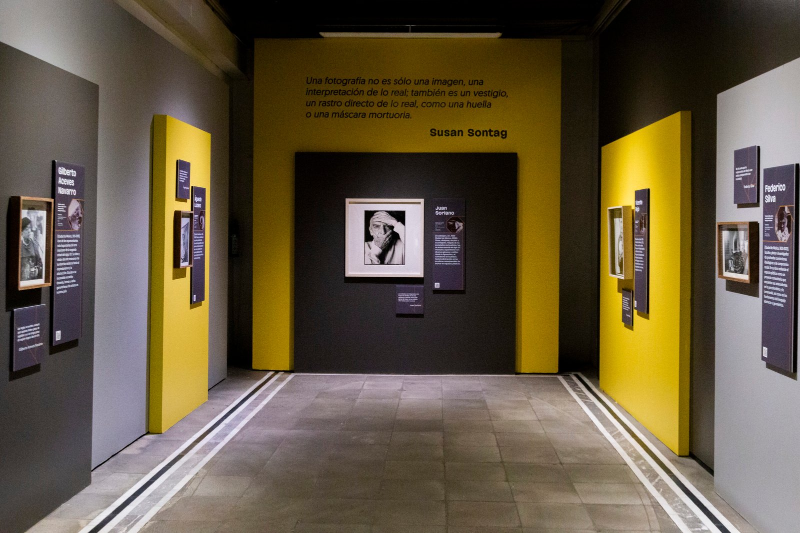 Revelados. Retratos de artistas en las colecciones de Hacienda.