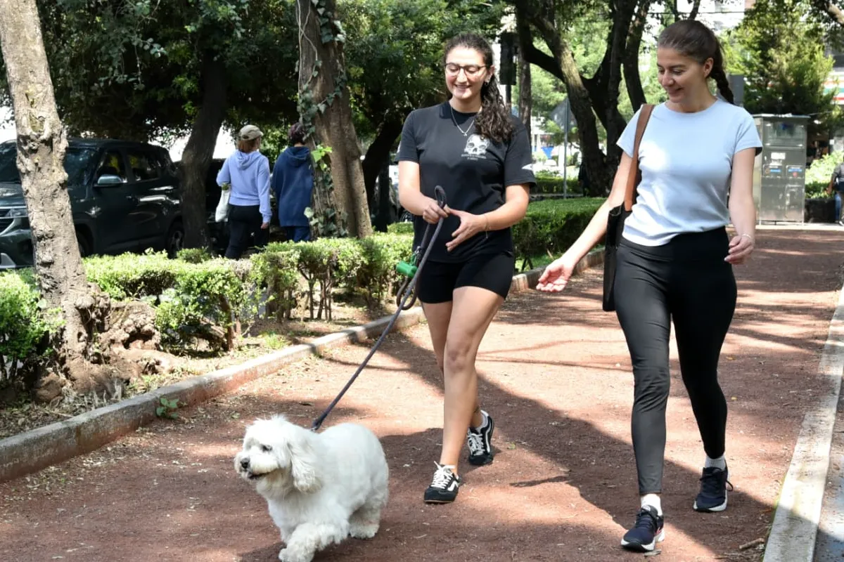 Benito Juárez registró 86.2% de percepción de seguridad en septiembre de 2026, de acuerdo con cifras de la ENSU difundidas por la alcaldía.