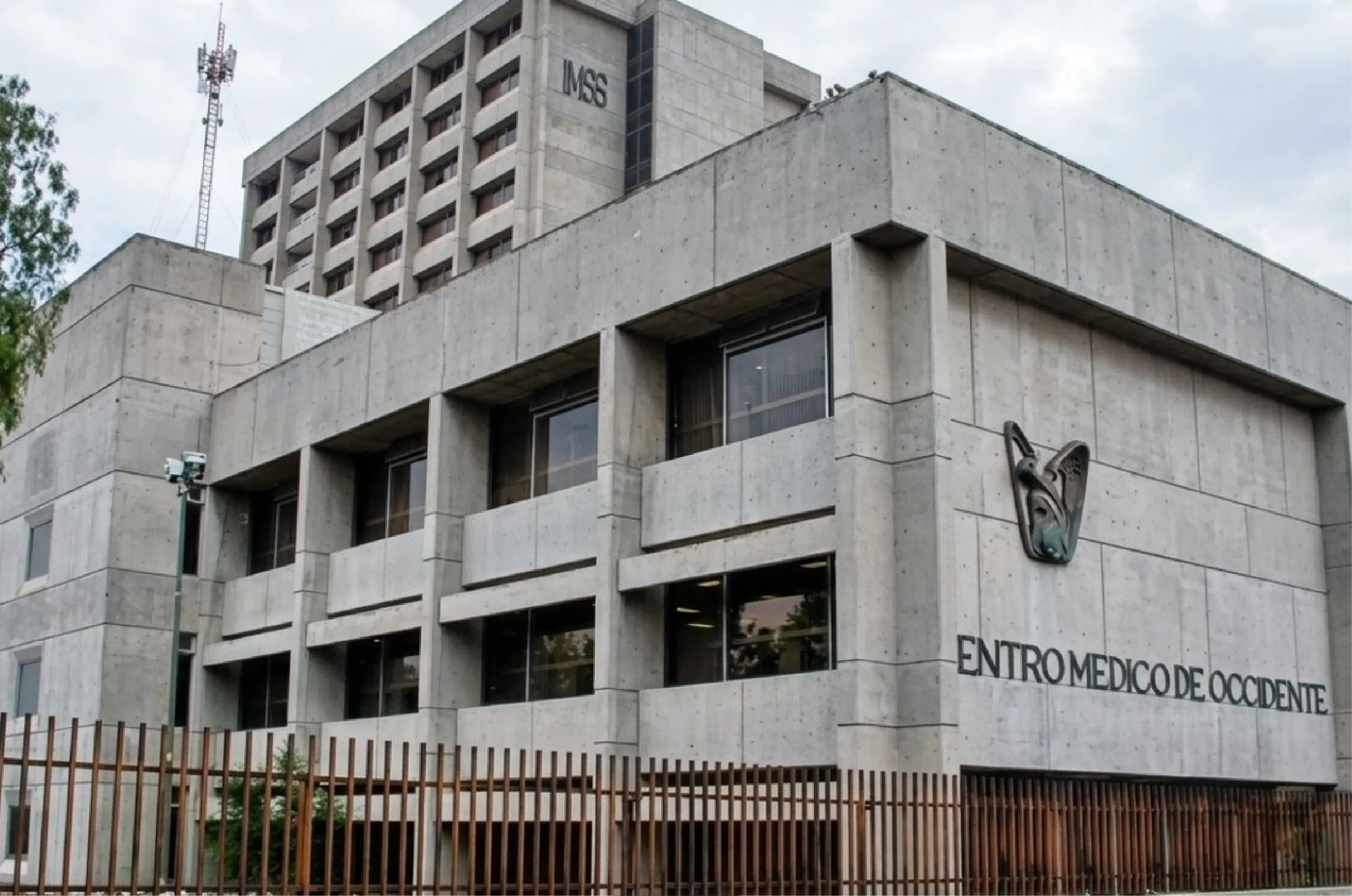 Mueren bebés en hospital del IMSS.