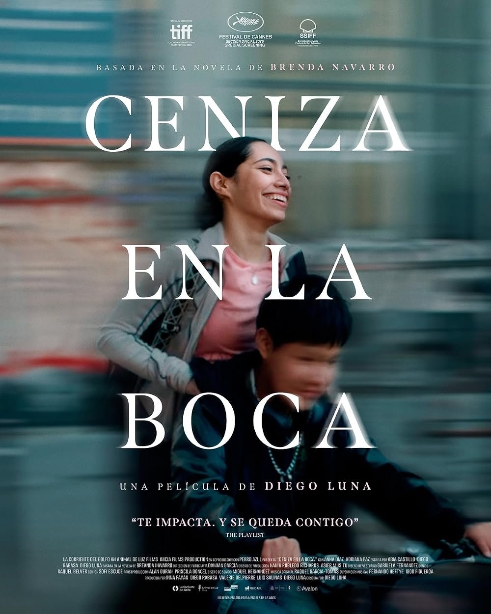Diego Luna, Ceniza en la boca.