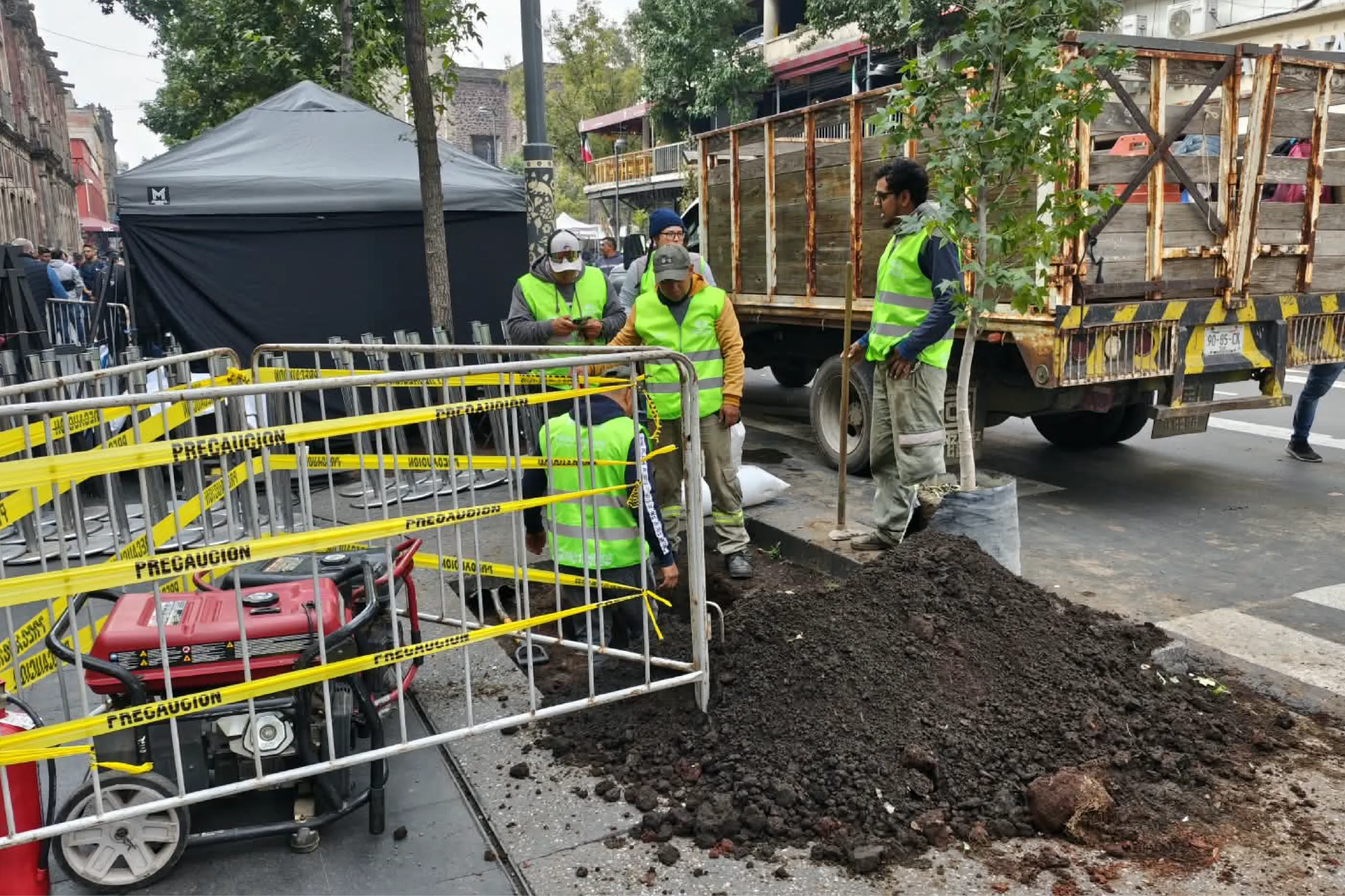 Reforestan el Centro Histórico de CDMX: plantan nuevos árboles.