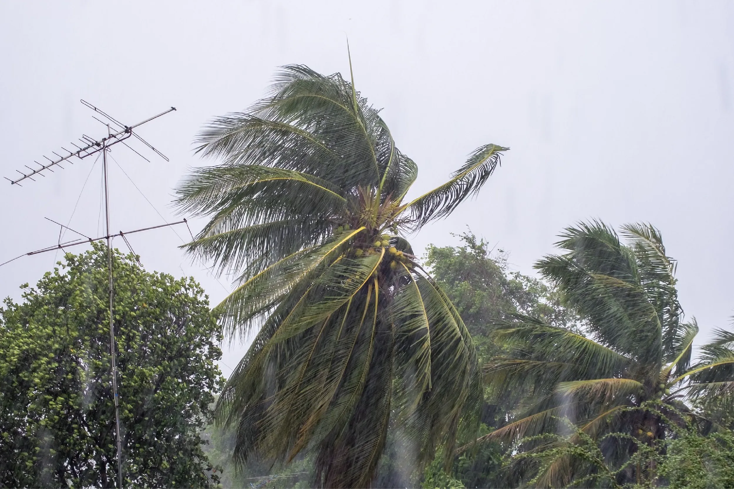 Tormenta tropical Vance.