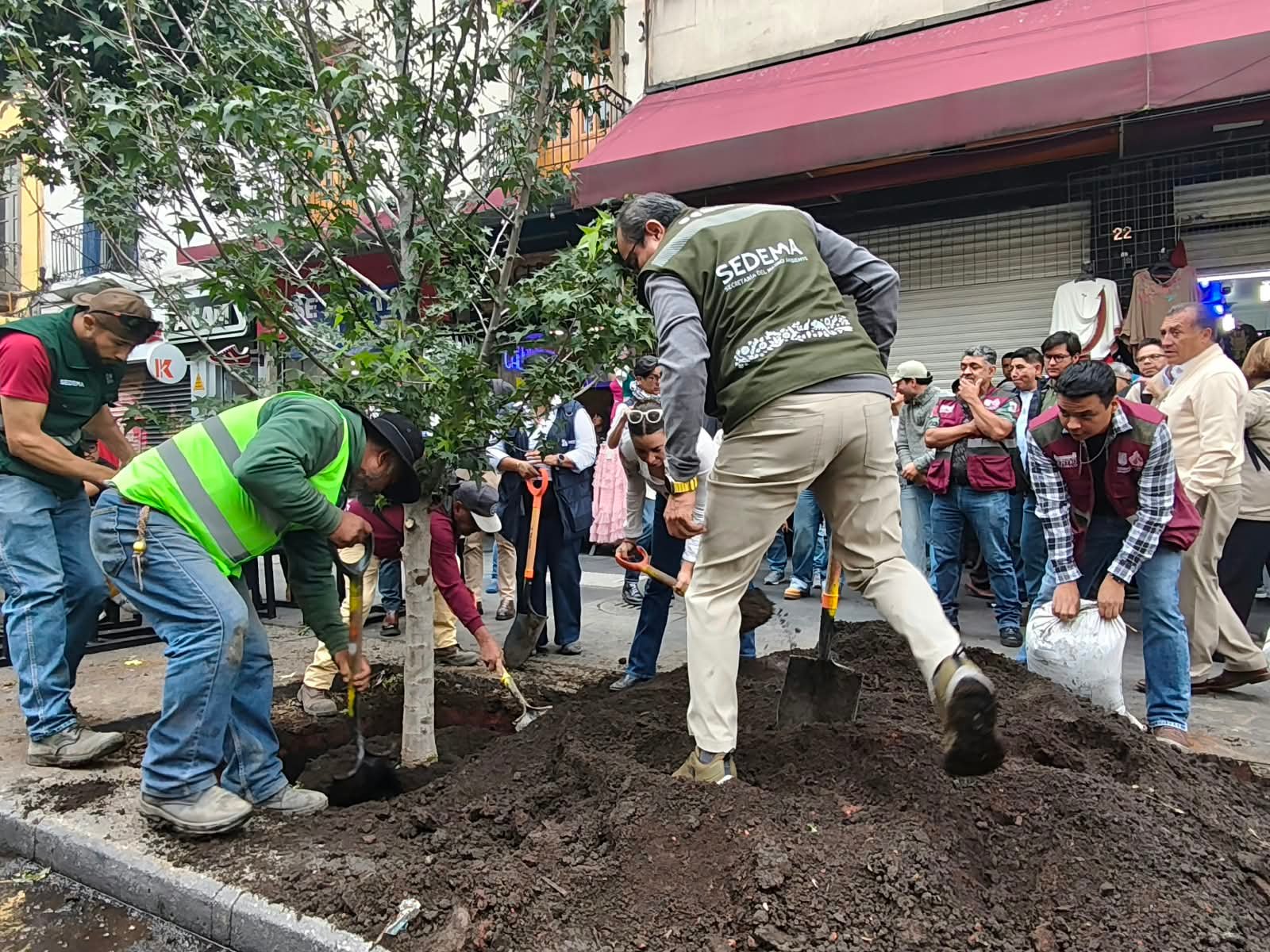 Programa de Reforestación Urbana.