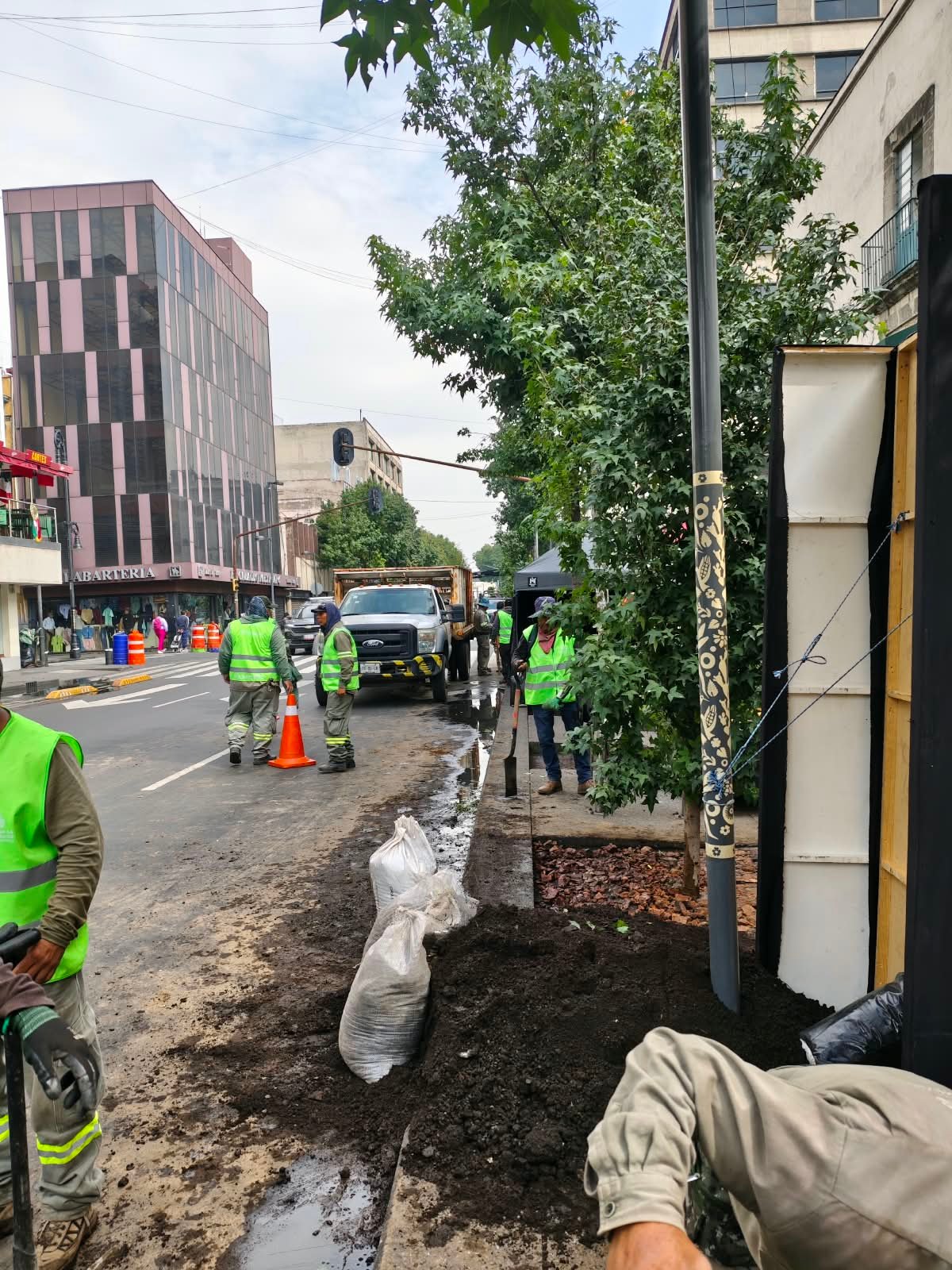 Programa de Reforestación Urbana.