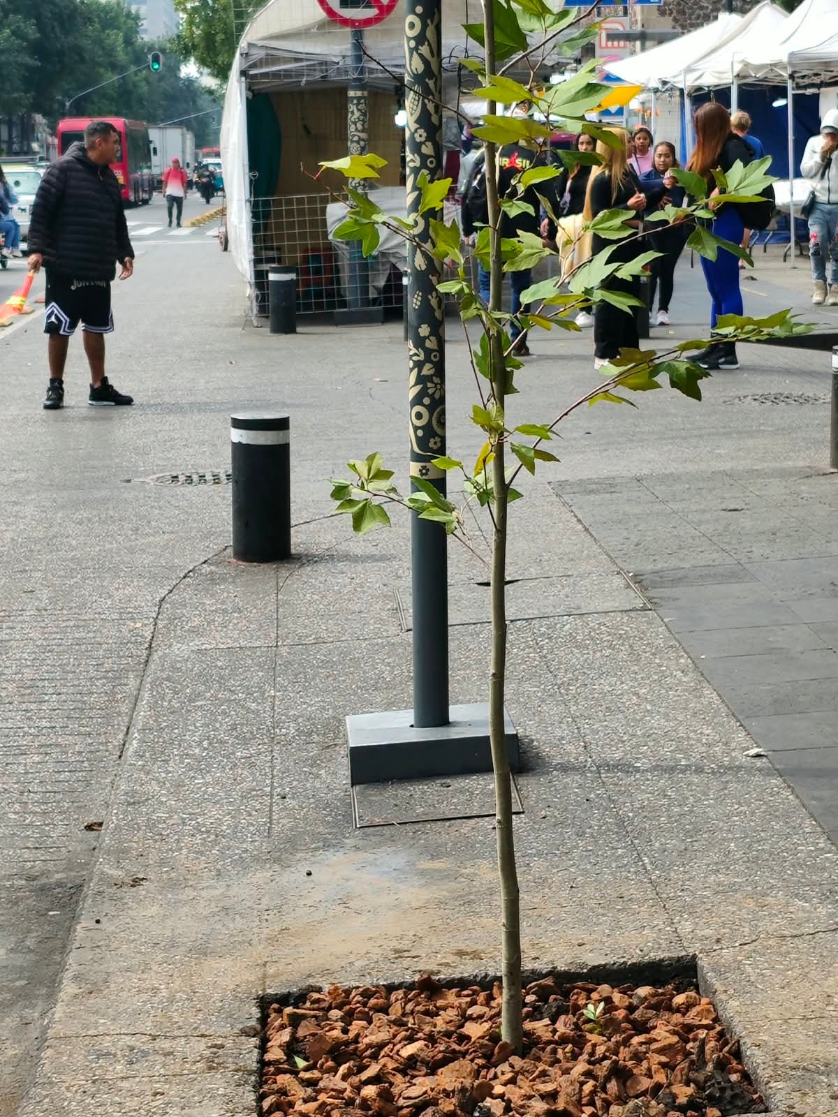 Programa de Reforestación Urbana.