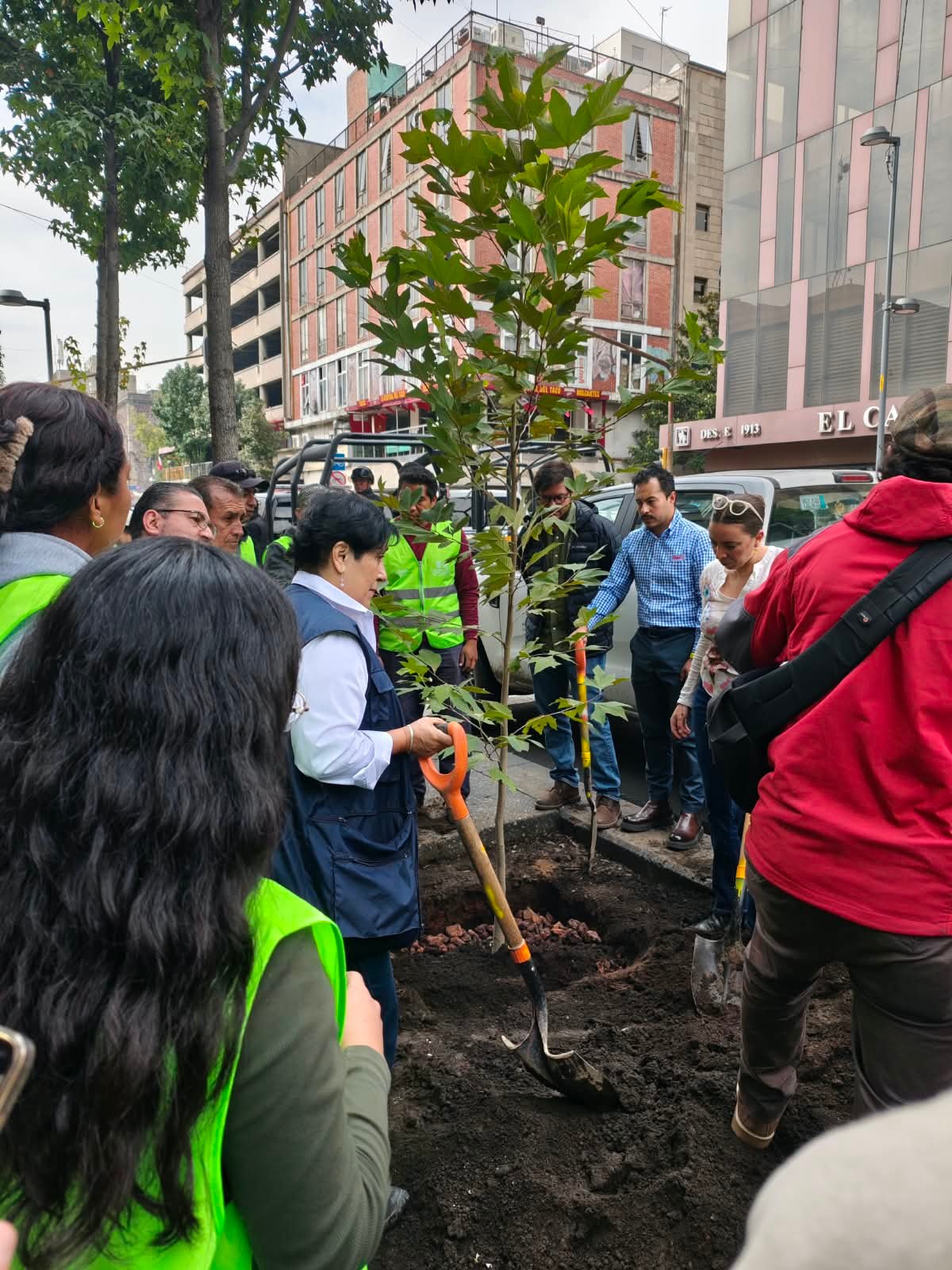 Programa de Reforestación Urbana.